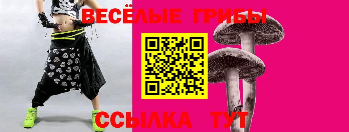 Корсаков  Галлюциногенные грибы Cubensis  Галлюциногенные грибы Magic Shrooms  Вход с VPN 